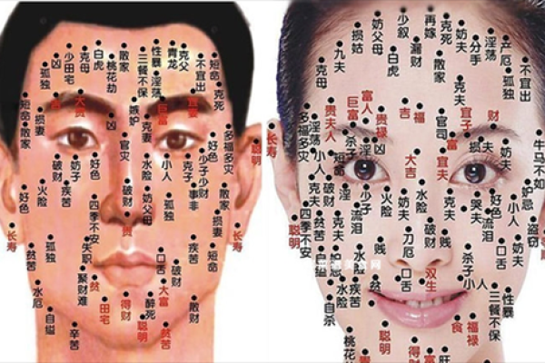 脸部黑痣算命图解