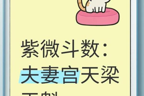紫微斗数之交友宫与诸星，天梁星在交友宫是什么意思？