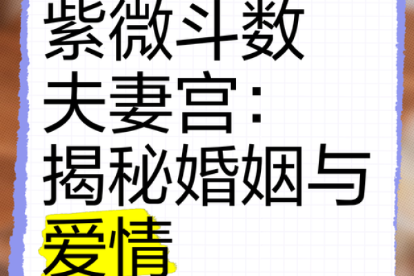 紫薇斗数夫妻宫代表