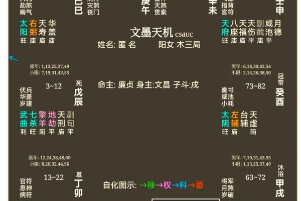 紫薇斗数夫妻宫代表
