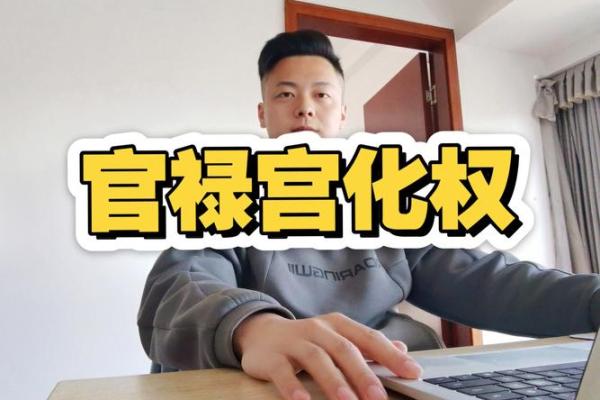 紫薇斗数自化禄