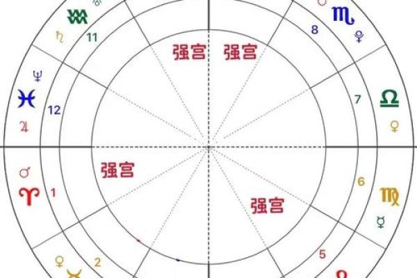 紫薇斗数星盘下载
