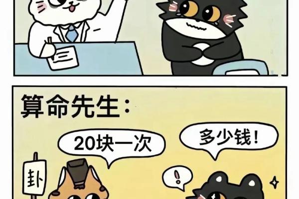 路边那些算命的，他们的话靠谱吗？