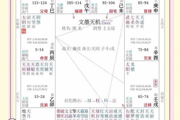 桃桃喜紫薇斗数