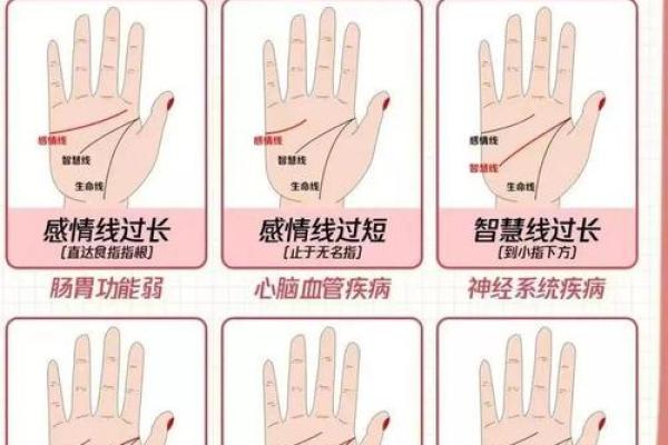 手相指纹算命图解