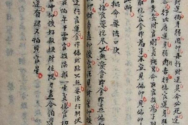 安康批八字