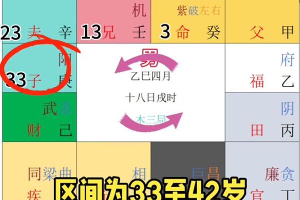 紫薇斗数排盘死
