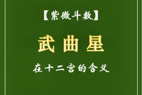 紫微斗数之各星曜所主行业：武曲星