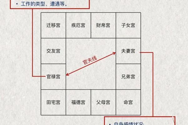 紫薇斗数工作