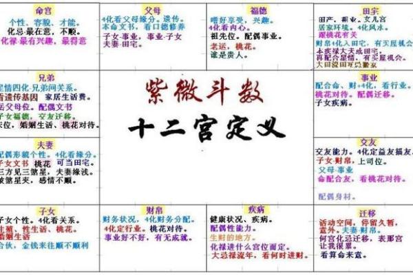 能嫁好老公的紫微命盘 必嫁贵夫的紫微斗数