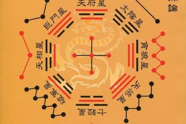 紫微斗数体系框架（零基础入门）
