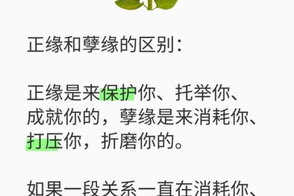 八字测算你异性缘怎么样