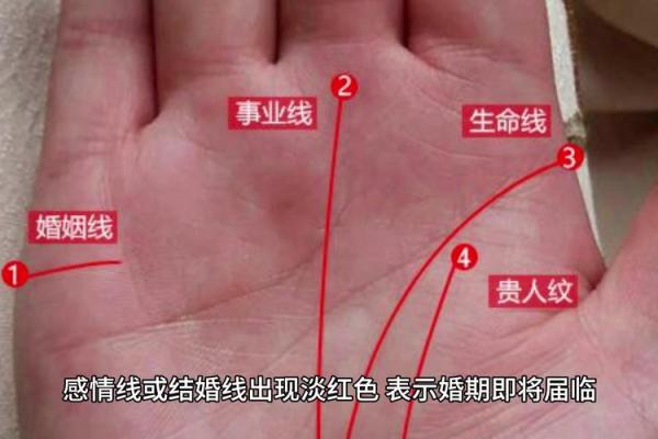 看手相算命图解：手相看婚姻