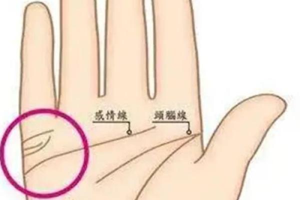 看手相算命图解：手相看婚姻