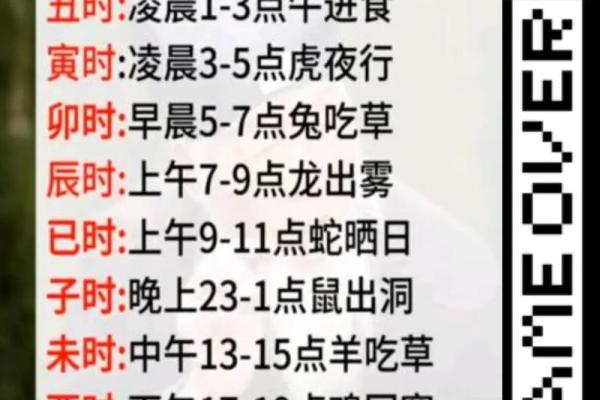 抖音算命的软件