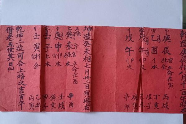 己亥生辰八字详解大全女命