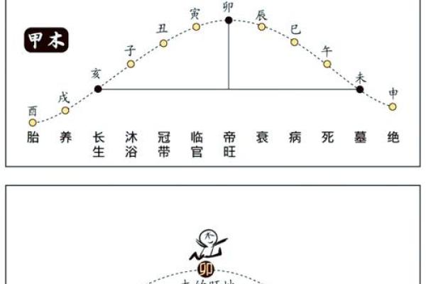 以八字为依据 十二长生是什么
