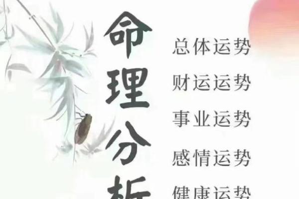 八字身旺如何发财 #商业思维