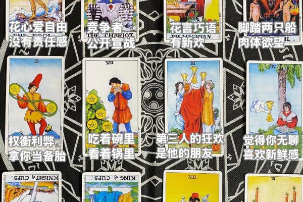 塔罗测试：十二月学习运？