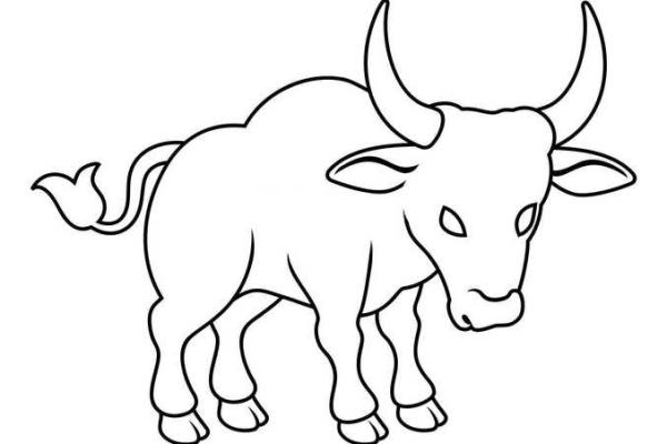 鼠的八字