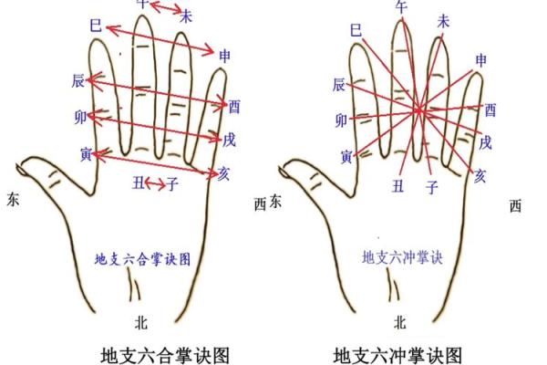 八字起伏图