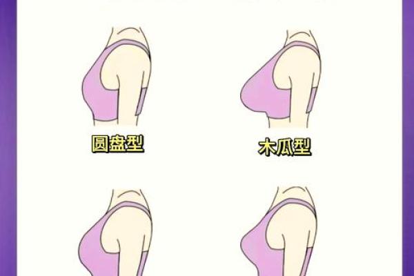 八字胸型