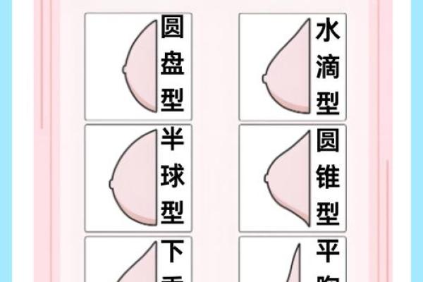 八字胸型