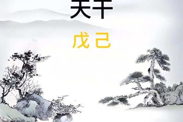 八字己土紫微星,己土命理分析
