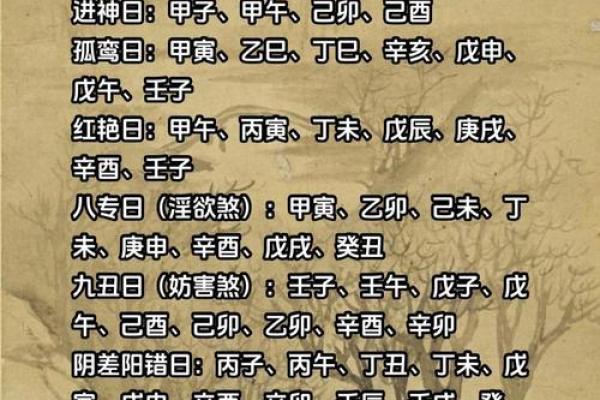 乙亥日八字