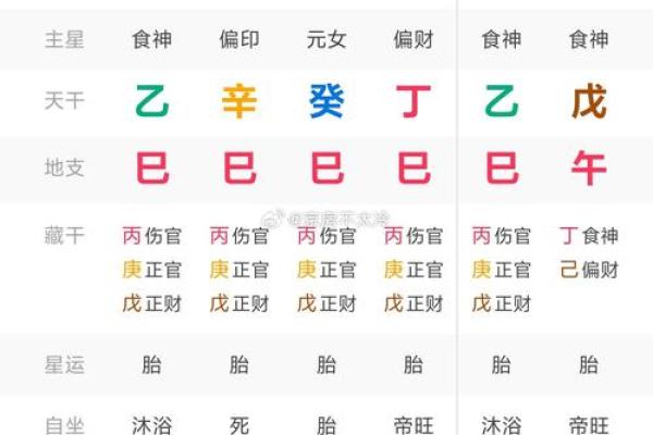 己巳日八字
