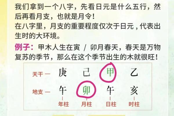 体质弱的八字特征 八字体弱要如何保健