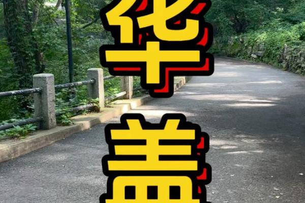 八字化解华盖星